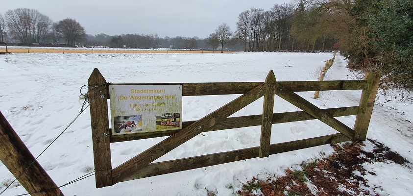 klompenpad-wageningse-engpad-18 Wandeling over Klompenpad Wageningse Engpad