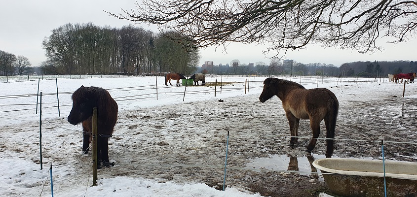 Wandeling over Klompenpad Wageningse Engpad