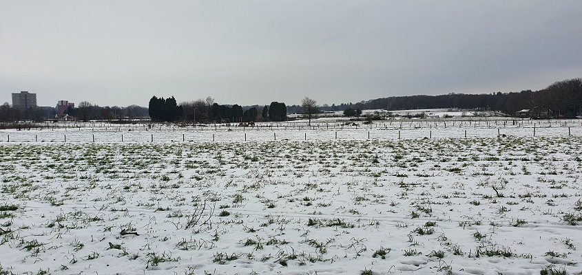 klompenpad-wageningse-engpad-2 Wandeling over Klompenpad Wageningse Engpad