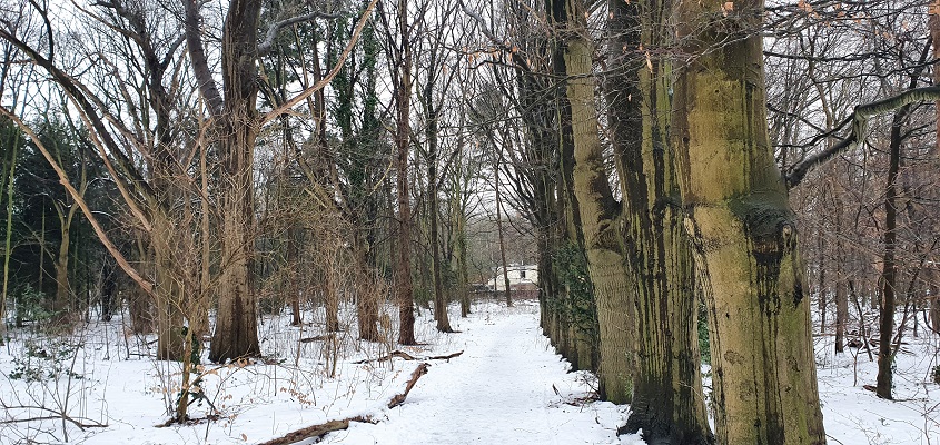 klompenpad-wageningse-engpad-3 Wandeling over Klompenpad Wageningse Engpad