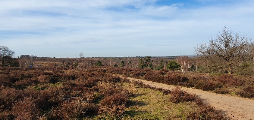Wandeling over Trage Tocht Noetsele bij de Sallandse Heuvelrug