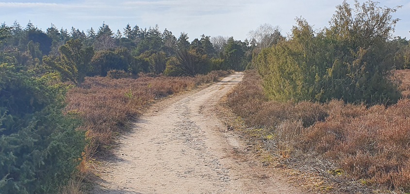 Wandeling over Trage Tocht Noetsele bij jeneverbesstruweel