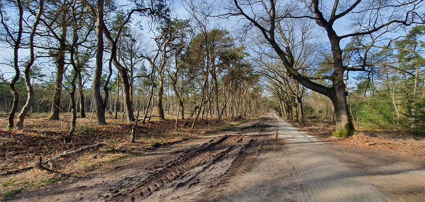 Wandeling over Trage Tocht Noetsele bij landgoed De Noetselenberg