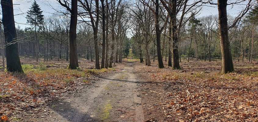 Wandeling over Trage Tocht Noetsele bij landgoed De Noetselenberg