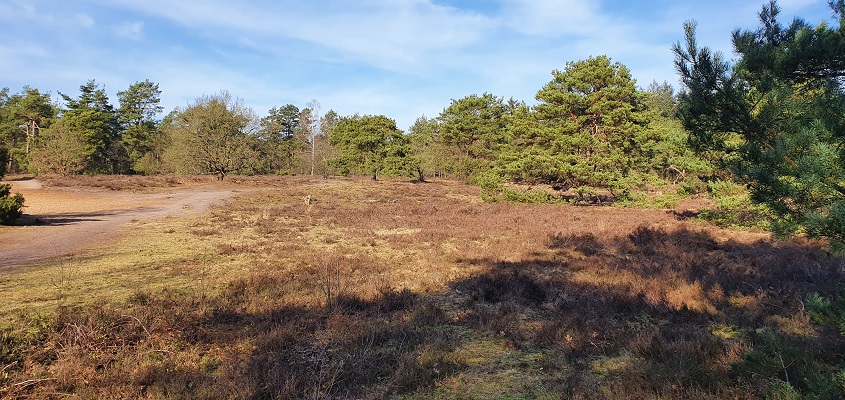 Wandeling over Trage Tocht Noetsele