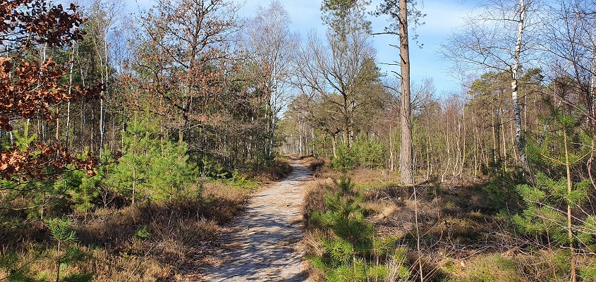 Wandeling over Trage Tocht Noetsele