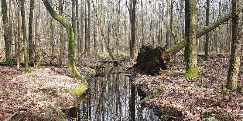 Wandeling over Trage Tocht Schijndel