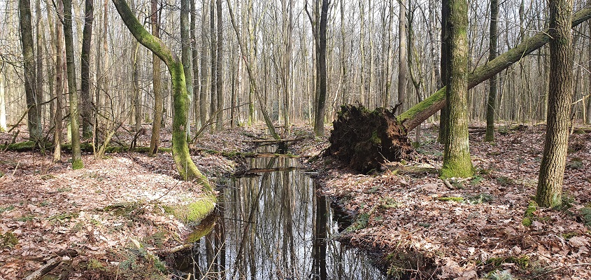 Wandeling over Trage Tocht Schijndel