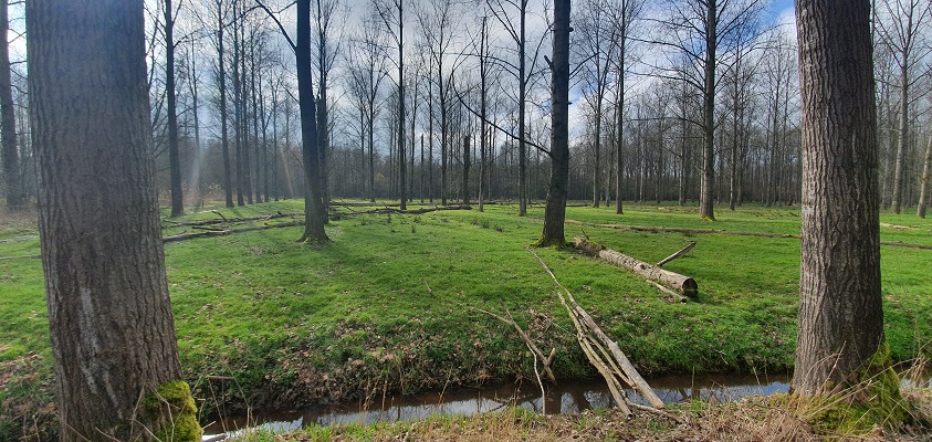trage-tocht-schijndel-20 Wandeling over Trage Tocht Schijndel