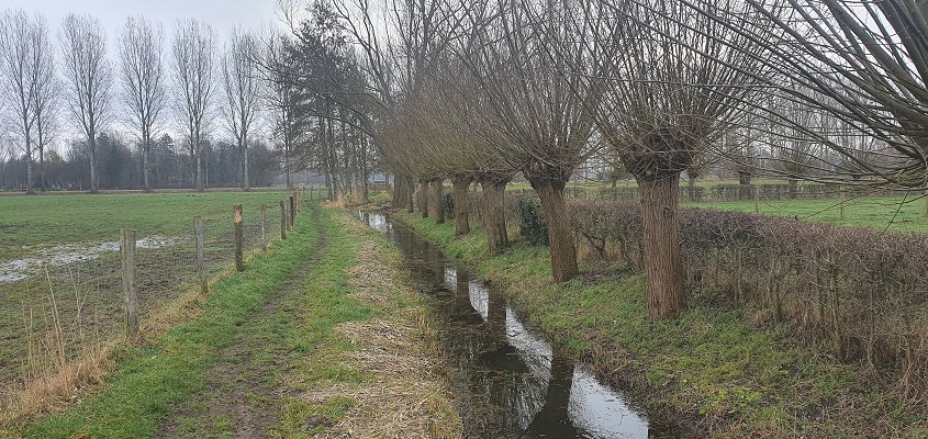 trage-tocht-schijndel-4 Wandeling over Trage Tocht Schijndel