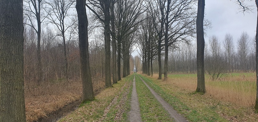 trage-tocht-schijndel-7 Wandeling over Trage Tocht Schijndel