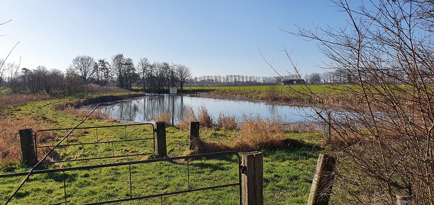 Trage Tocht Steenderen bij de Molenkolk