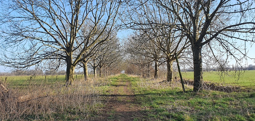 Trage Tocht Steenderen