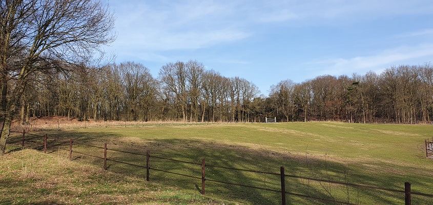 twentse-wallen-borkeld-20 Wandelen over de Twentse Wallen bij de Friezenberg