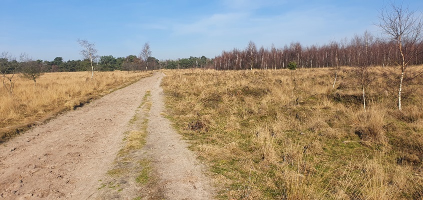 Wandelen over de Twentse Wallen bij het Esenerveld