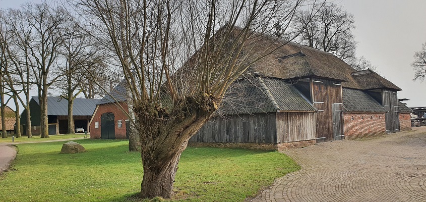 Wandeling over Twentse Wallen Markelo bij buurtschap Stokkum
