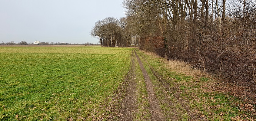 twentse-wallen-markelo-21 Wandeling over Twentse Wallen Markelo bij het essenlandschap