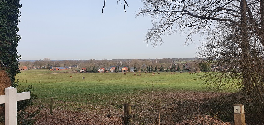 Wandeling over Twentse Wallen bij de Markelose Berg