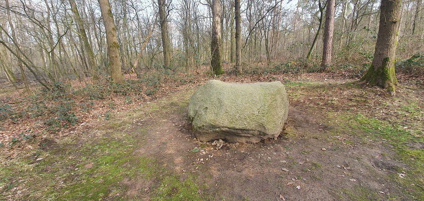 Wandeling over Twentse Wallen Markelo bij de zwerfsteen op de Katenberg