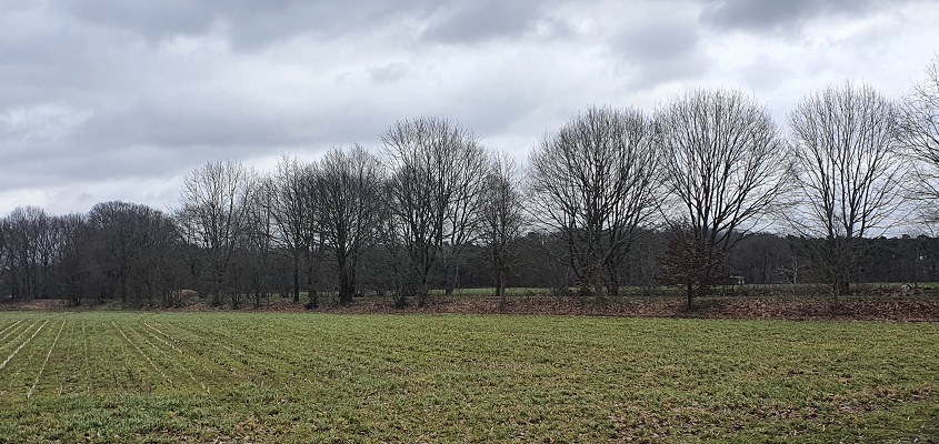 Wandelen in het Hart van Brabant rondom Alphen bij het Bels Lijntje