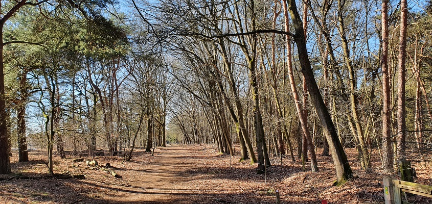Wandeling over Trage Tocht Middelbeers bij de Landschotse Heide