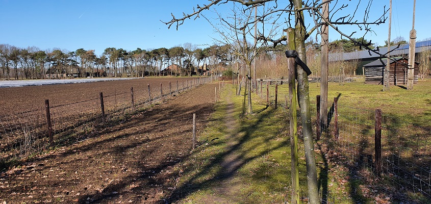 Wandeling over Trage Tocht Middelbeers bij het Pieterpad