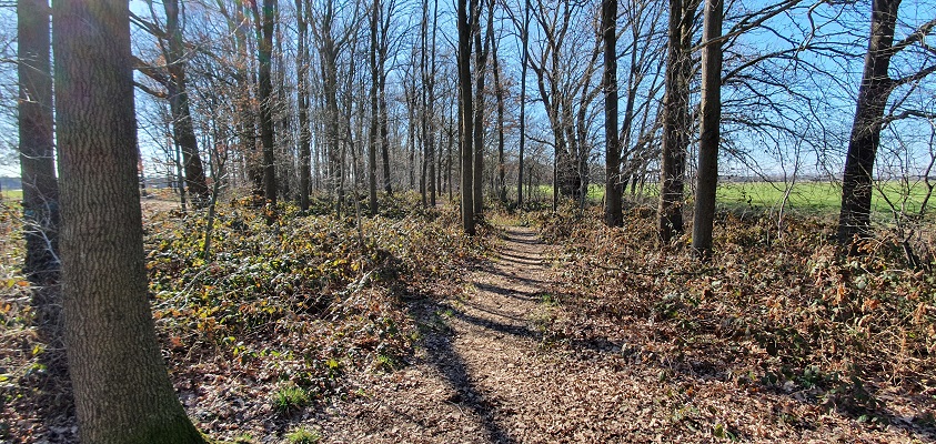 Wandeling over Trage Tocht Middelbeers bij de Aardbossen