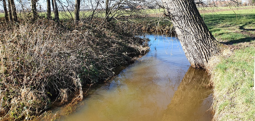 Wandeling over Trage Tocht Middelbeers bij de Grote Beerze