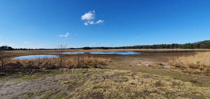 Wandeling over Trage Tocht Middelbeers bij de Landschotse Heide