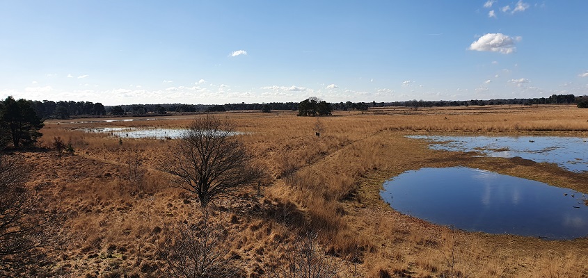 Wandeling over Trage Tocht Middelbeers bij de Landschotse Heide