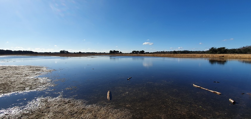 Wandeling over Trage Tocht Middelbeers bij de Landschotse Heide