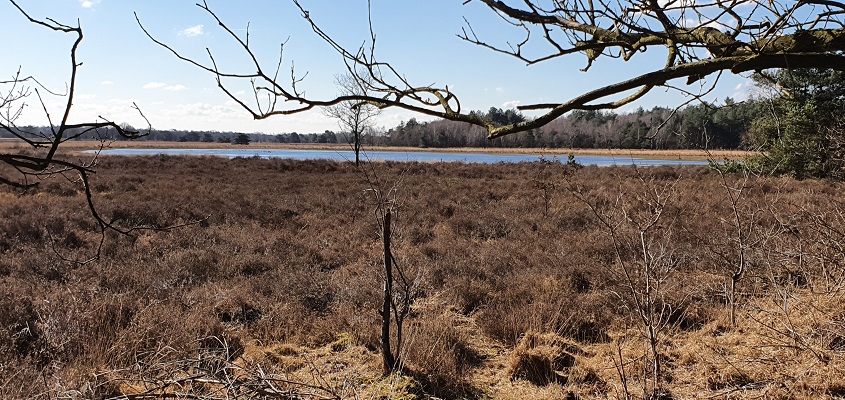 trage-tocht-middelbeers-9 Wandeling over Trage Tocht Middelbeers bij de Landschotse Heide