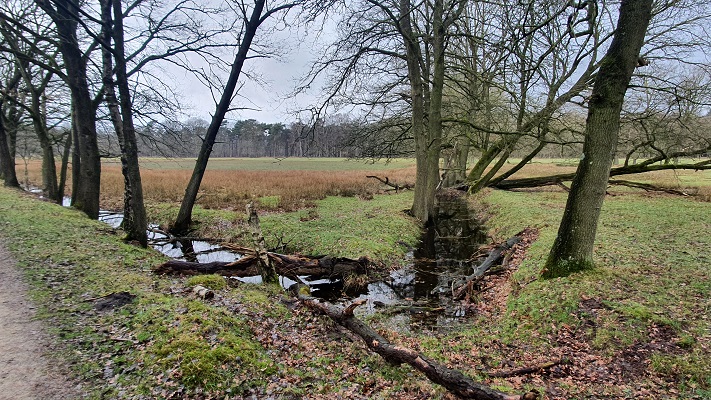 trage-tocht-sint-anthonis-11 Wandeling over Trage Tocht Sint Anthonis