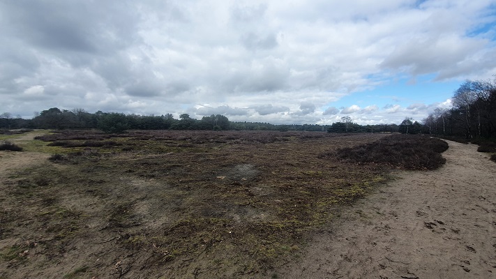 trage-tocht-sint-anthonis-25 Wandeling over Trage Tocht Sint Anthonis bij de Ullingse Bergen