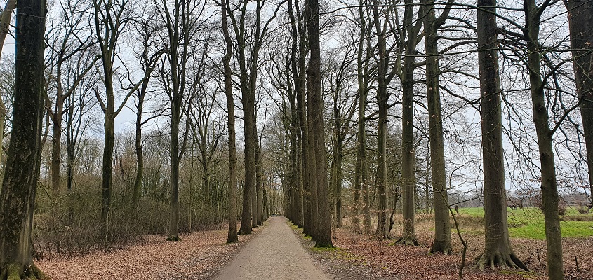 Wandeling over Trage Tocht Vechten bij Amelisweerd