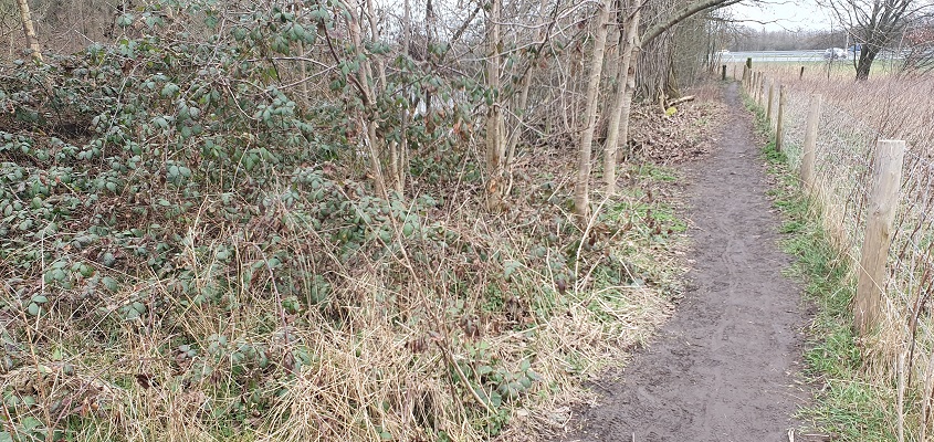 Wandeling over Trage Tocht Vechten bij Fort Vechten
