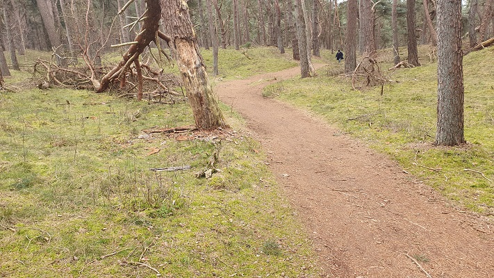 trage-tocht-wekerom-10 Wandeling over Trage Tocht Wekerom