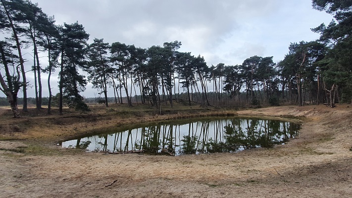 Wandeling over Trage Tocht Wekerom