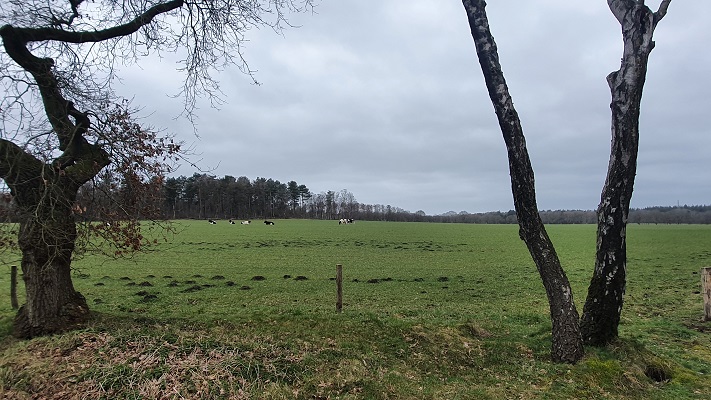 trage-tocht-wekerom-18 Wandeling over Trage Tocht Wekerom