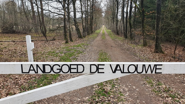 Wandeling over Trage Tocht Wekerom op landgoed Valouwe