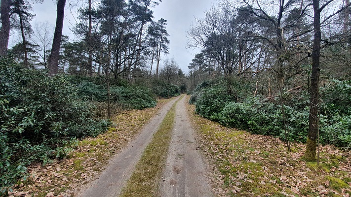 Wandeling over Trage Tocht Wekerom op landgoed Valouwe