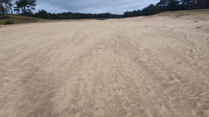 Wandeling over Trage Tocht Wekerom bij het Wekeromse Zand