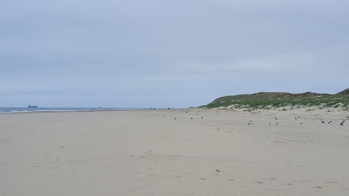 Wandeling op Texel van 't Horntje naar De Koog op het strand van de Noordzee