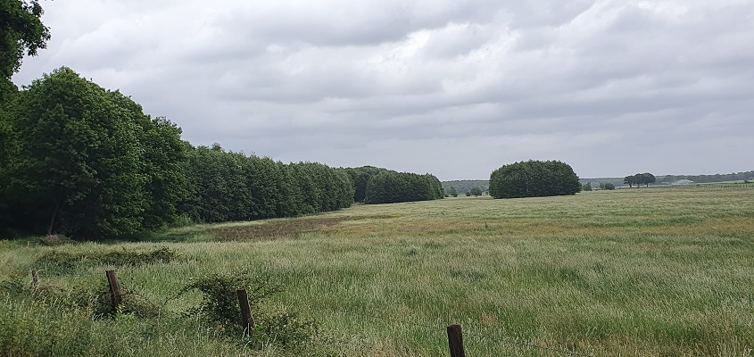 noaberpad-milsbeek-kleve-3 Wandeling over het Noaberpad van Milsbeek naar Kleve