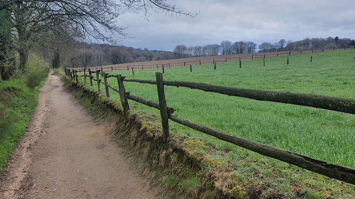 Wandeling over Trage Tocht Plasmolen bij het Zevendal