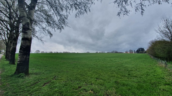 Wandeling over Trage Tocht Plasmolen