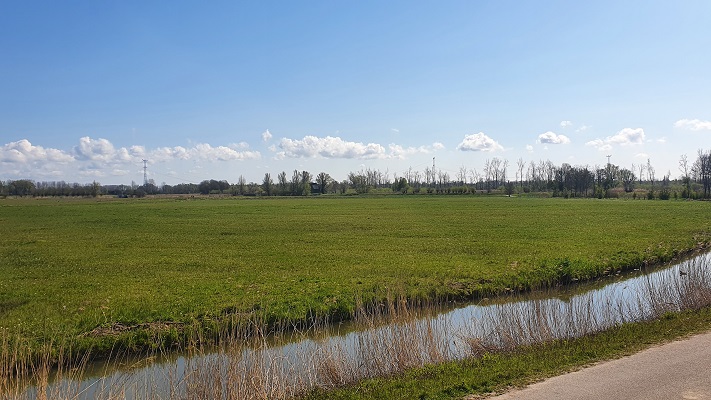 Wandeling door oneindig laagland bij Dordrecht