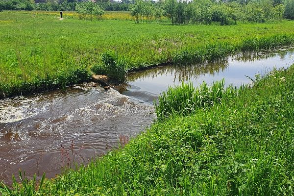 Wandelen over Kunstroute Mill 2021