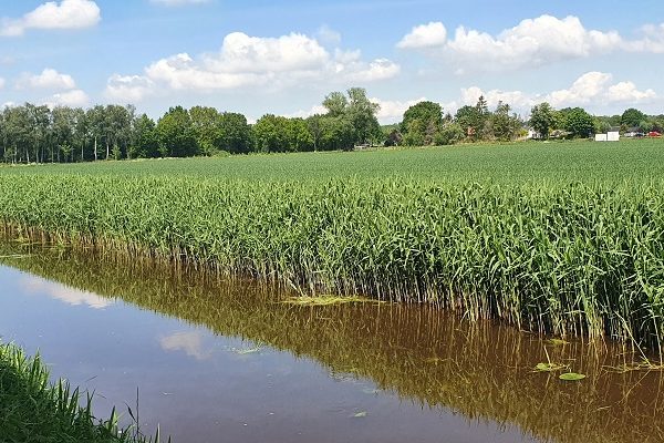 Wandelen over Kunstroute Mill 2021