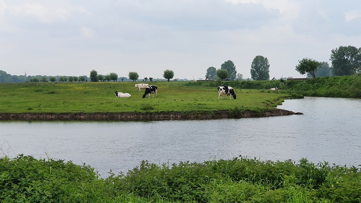 trage-tocht-gennep-15 Wandeling over Trage Tocht Gennep in het Niersdal